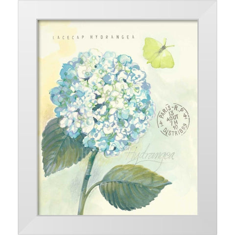 Claires Garden Hydrangea White Modern Wood Framed Art Print by Della-Piana, Elissa