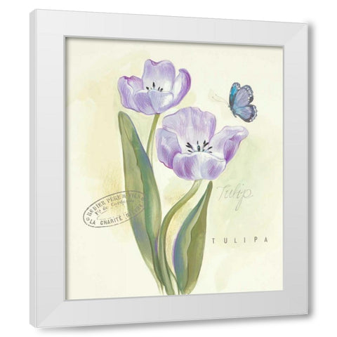 Claires Garden Tulip  White Modern Wood Framed Art Print by Della-Piana, Elissa
