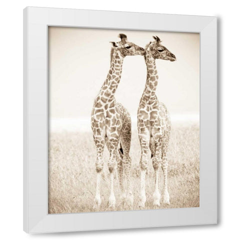 Spirit of Life 1 White Modern Wood Framed Art Print by Parker Nature Photography, Frank and Susann