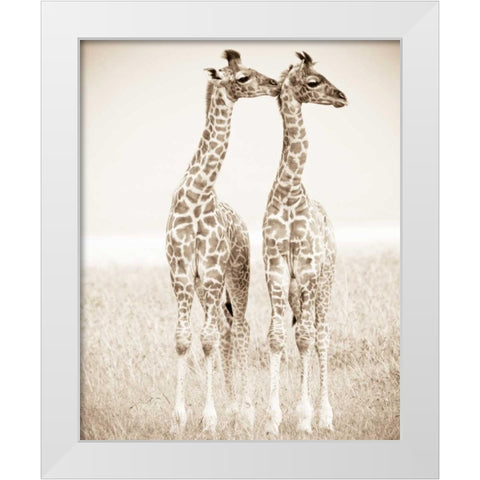 Spirit of Life 1 White Modern Wood Framed Art Print by Parker Nature Photography, Frank and Susann