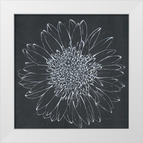 Chalk Bloom 2 White Modern Wood Framed Art Print by Adams, Connor