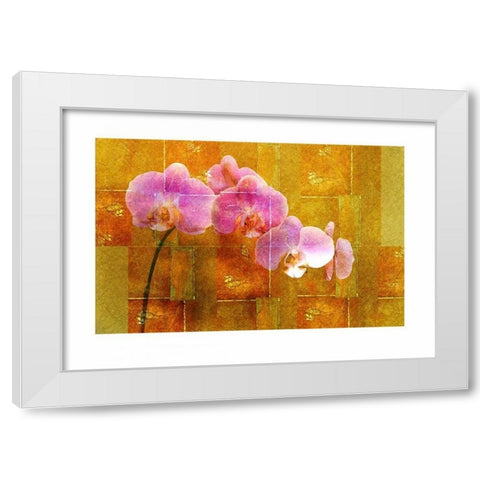 Sheer Pink Orhcid White Modern Wood Framed Art Print by Robertson, Walter