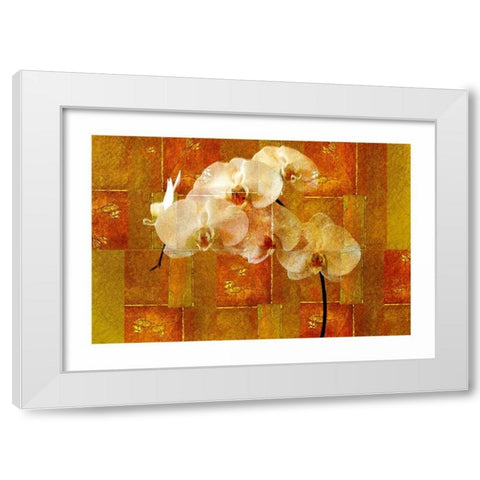 Sheer White Orchid White Modern Wood Framed Art Print by Robertson, Walter