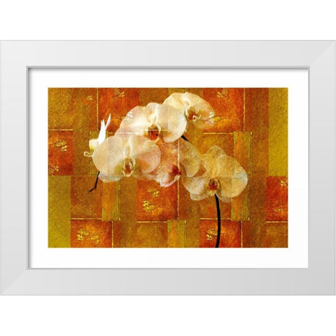 Sheer White Orchid White Modern Wood Framed Art Print by Robertson, Walter
