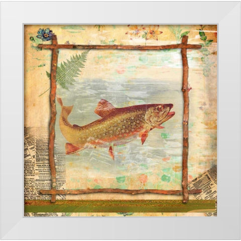 Trout Nature White Modern Wood Framed Art Print by Robertson, Walter