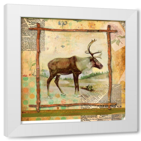 Elk Nature White Modern Wood Framed Art Print by Robertson, Walter