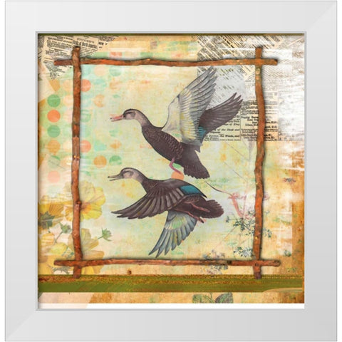 Duck Nature White Modern Wood Framed Art Print by Robertson, Walter