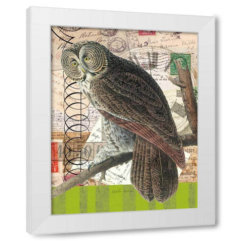 Curious Owl 1 White Modern Wood Framed Art Print by Robertson, Walter