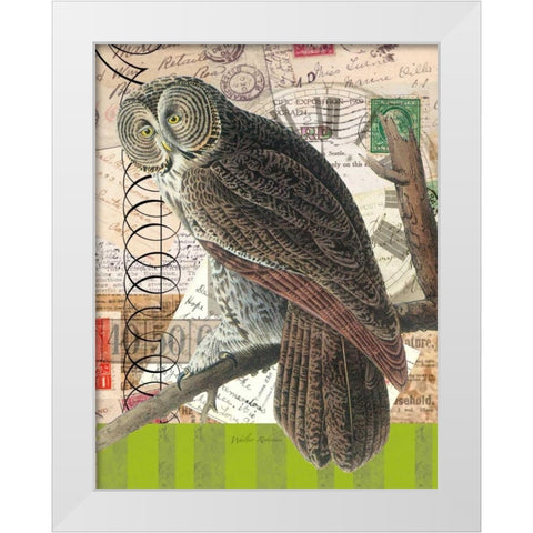 Curious Owl 1 White Modern Wood Framed Art Print by Robertson, Walter