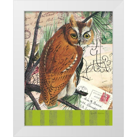 Curious Owl 2 White Modern Wood Framed Art Print by Robertson, Walter