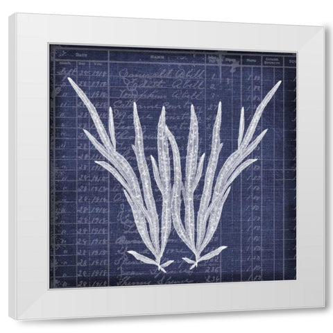 Seaweed Document 1 White Modern Wood Framed Art Print by Robertson, Walter