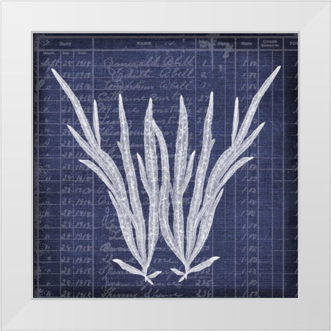 Seaweed Document 1 White Modern Wood Framed Art Print by Robertson, Walter