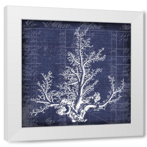 Seaweed Document 2 White Modern Wood Framed Art Print by Robertson, Walter