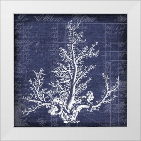 Seaweed Document 2 White Modern Wood Framed Art Print by Robertson, Walter
