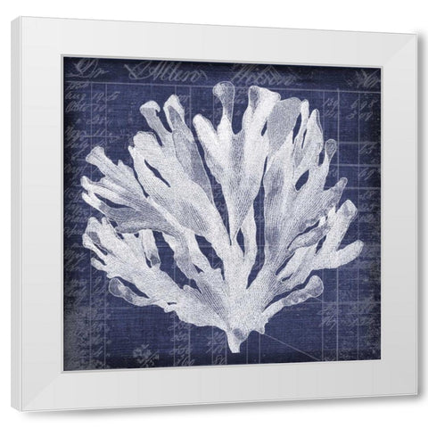 Seaweed Document 3 White Modern Wood Framed Art Print by Robertson, Walter