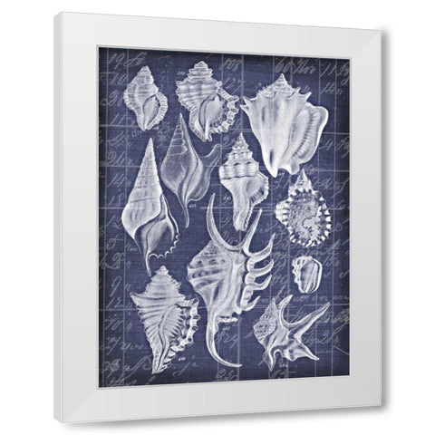 Shell Life 1 White Modern Wood Framed Art Print by Robertson, Walter