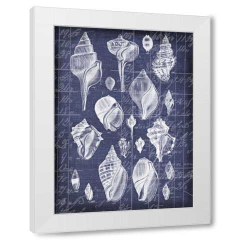 Shell Life 2 White Modern Wood Framed Art Print by Robertson, Walter