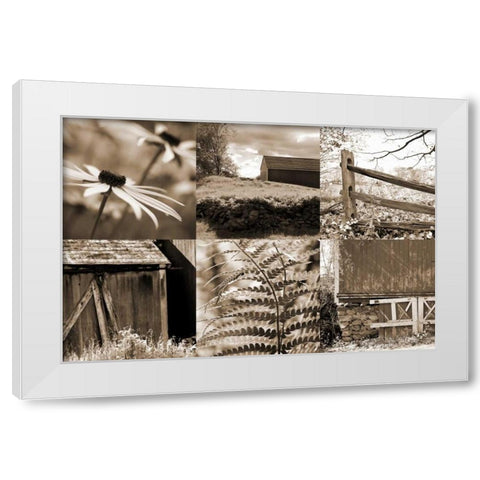 Roadside Beauty White Modern Wood Framed Art Print by Amber Light Gallery