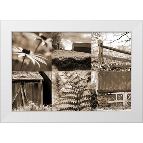 Roadside Beauty White Modern Wood Framed Art Print by Amber Light Gallery