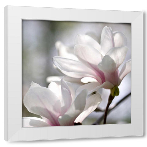 Ivory Magnolia White Modern Wood Framed Art Print by Amber Light Gallery