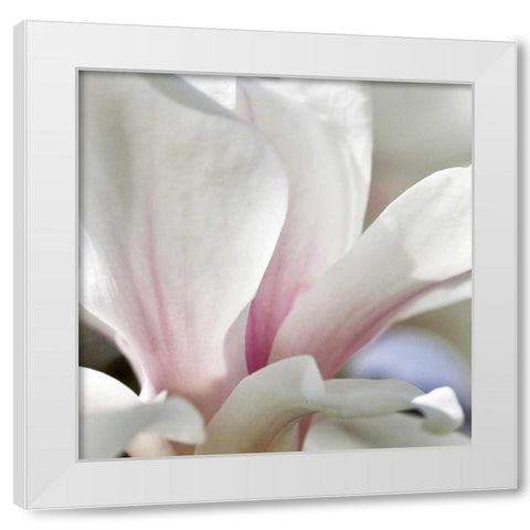 Magnolia Essence White Modern Wood Framed Art Print by Amber Light Gallery
