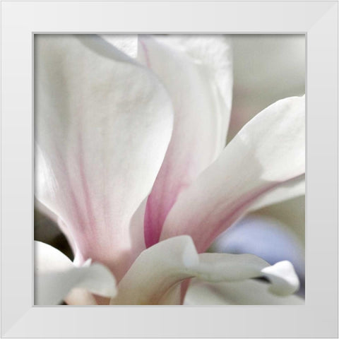 Magnolia Essence White Modern Wood Framed Art Print by Amber Light Gallery
