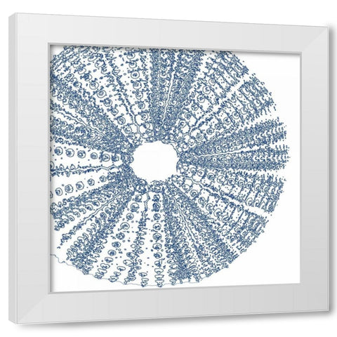 Sepia Shell Life 2 White Modern Wood Framed Art Print by Amber Light Gallery