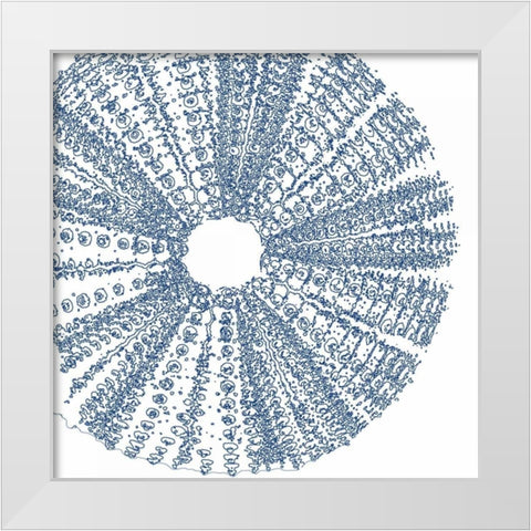 Sepia Shell Life 2 White Modern Wood Framed Art Print by Amber Light Gallery