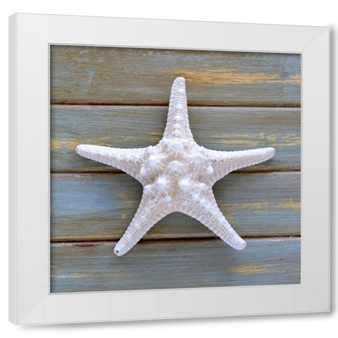 White Starfish  White Modern Wood Framed Art Print by Amber Light Gallery
