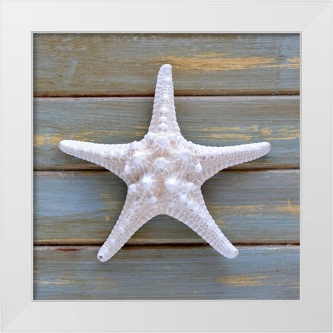 White Starfish  White Modern Wood Framed Art Print by Amber Light Gallery