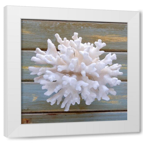 White Coral  White Modern Wood Framed Art Print by Amber Light Gallery