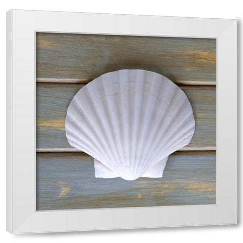 White Scallop  White Modern Wood Framed Art Print by Amber Light Gallery