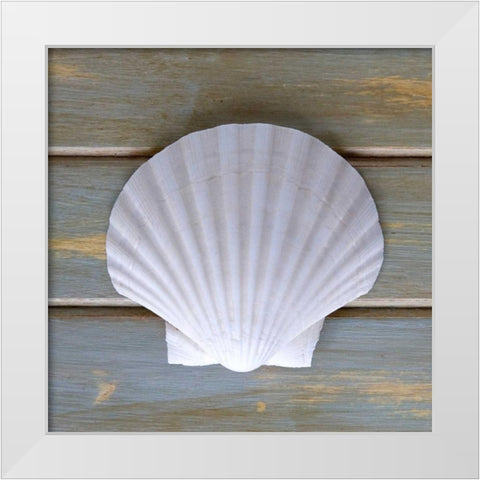 White Scallop  White Modern Wood Framed Art Print by Amber Light Gallery