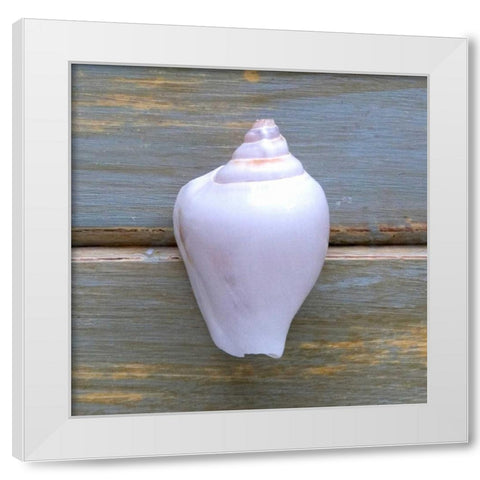 White Shell  White Modern Wood Framed Art Print by Amber Light Gallery