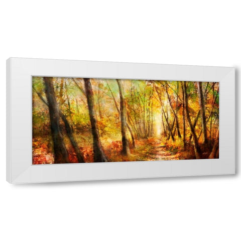 Forest Pathway White Modern Wood Framed Art Print by Roko, Ken