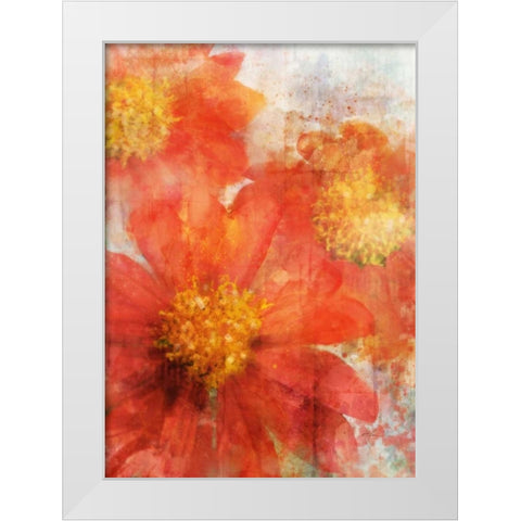 Tithonia Bloom 2 White Modern Wood Framed Art Print by Roko, Ken