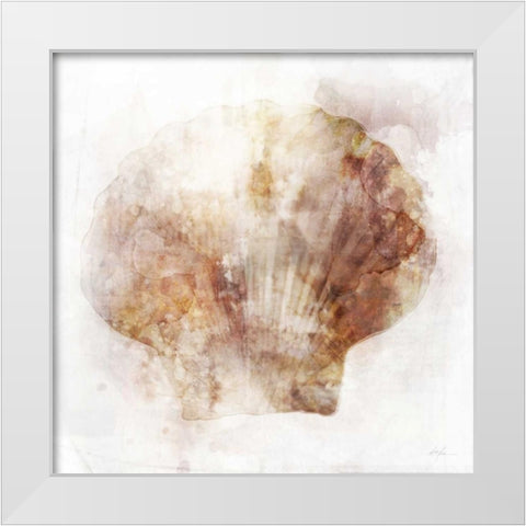 Coastal Mist Scallop White Modern Wood Framed Art Print by Roko, Ken