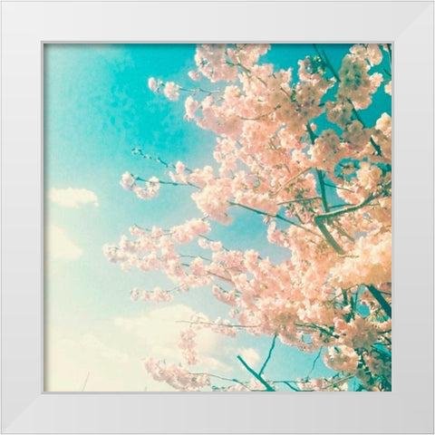 Polariod Pink 1 White Modern Wood Framed Art Print by Dvorak, Vicki