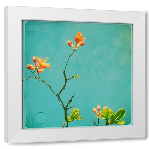 Orange Flowers White Modern Wood Framed Art Print by Dvorak, Vicki