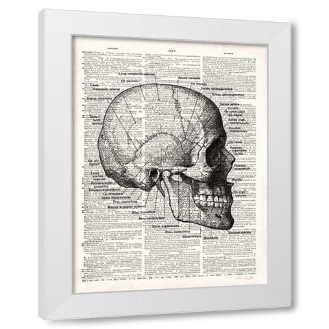 Vintage Anatomy Skull White Modern Wood Framed Art Print by James, Christopher