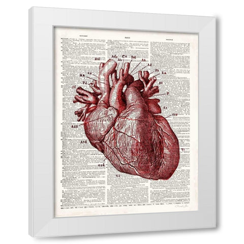 Vintage Anatomy Heart White Modern Wood Framed Art Print by James, Christopher