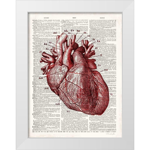 Vintage Anatomy Heart White Modern Wood Framed Art Print by James, Christopher