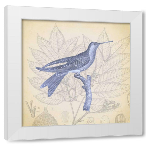 Hummingbird Study 1 White Modern Wood Framed Art Print by James, Christopher