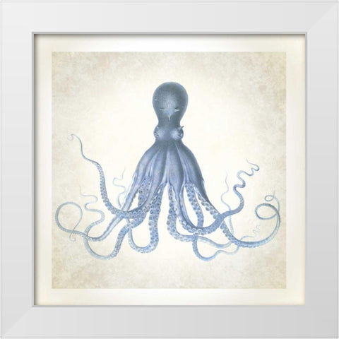 Sea Life, Octopus White Modern Wood Framed Art Print by James, Christopher