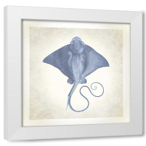 Sea Life, Stingray White Modern Wood Framed Art Print by James, Christopher