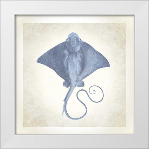 Sea Life, Stingray White Modern Wood Framed Art Print by James, Christopher