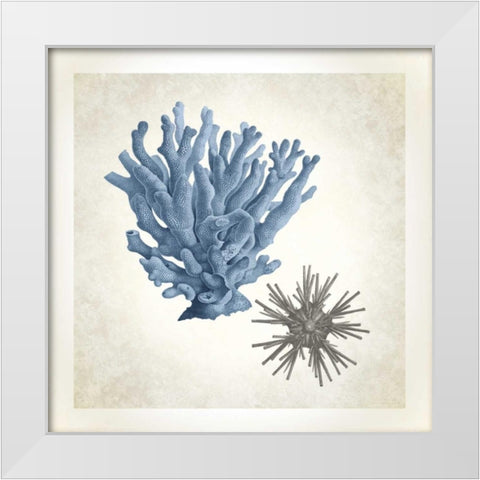 Sea Life, Coral White Modern Wood Framed Art Print by James, Christopher