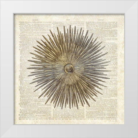 Sea Urchin Pages White Modern Wood Framed Art Print by James, Christopher