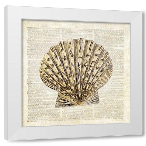 Scallop Shell Pages White Modern Wood Framed Art Print by James, Christopher