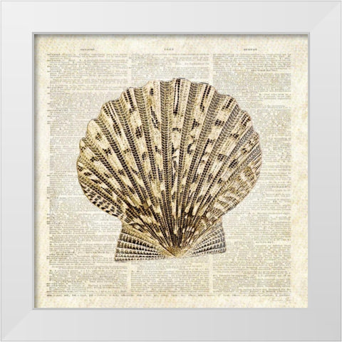Scallop Shell Pages White Modern Wood Framed Art Print by James, Christopher
